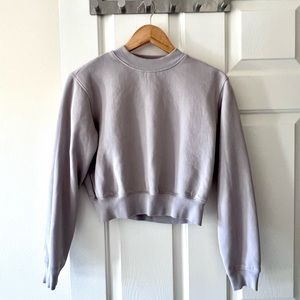 Aritzia Cozy Fleece Perfect Shrunken Sweatshirt
